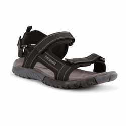 Trespass Alderley vandresandaler Herre - Black